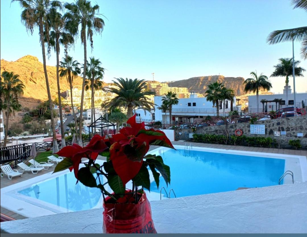 El Cardenal Playa Del Cura (Gran Canaria)